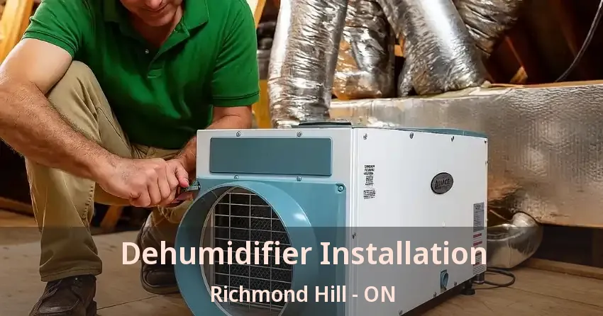 Dehumidifier Installation Richmond Hill - ON