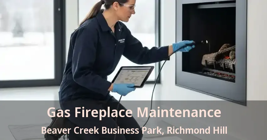 Gas Fireplace Maintenance Beaver Creek Business Park, Richmond Hill - ON