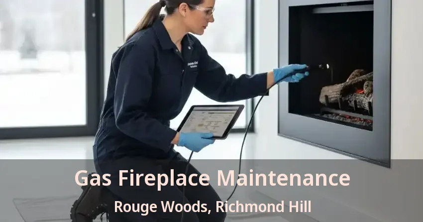 Gas Fireplace Maintenance Rouge Woods, Richmond Hill - ON
