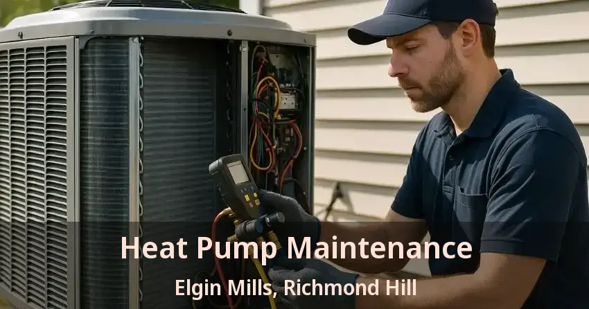 Heat Pump Maintenance Elgin Mills, Richmond Hill - ON