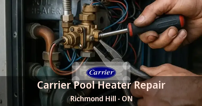Carrier Pool Heater Repair Richmond Hill - ON